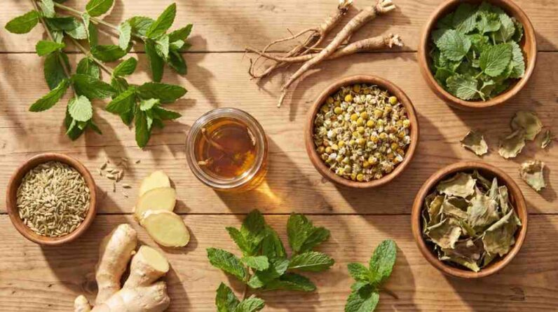 herbal remedies for bloating