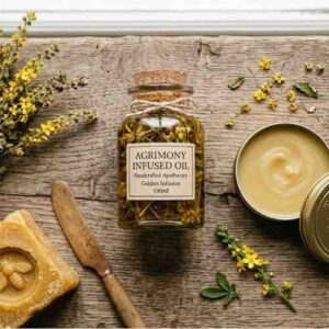 agrimony salve