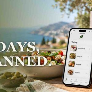 the olive reset