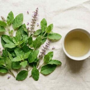 holi basil benefits